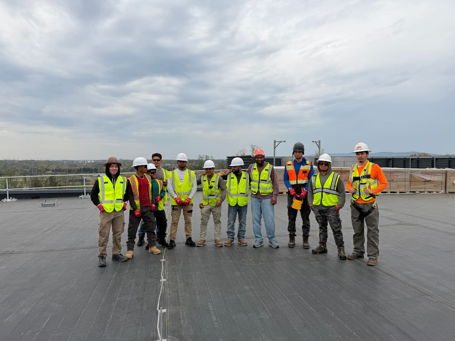 GoGreen team on site